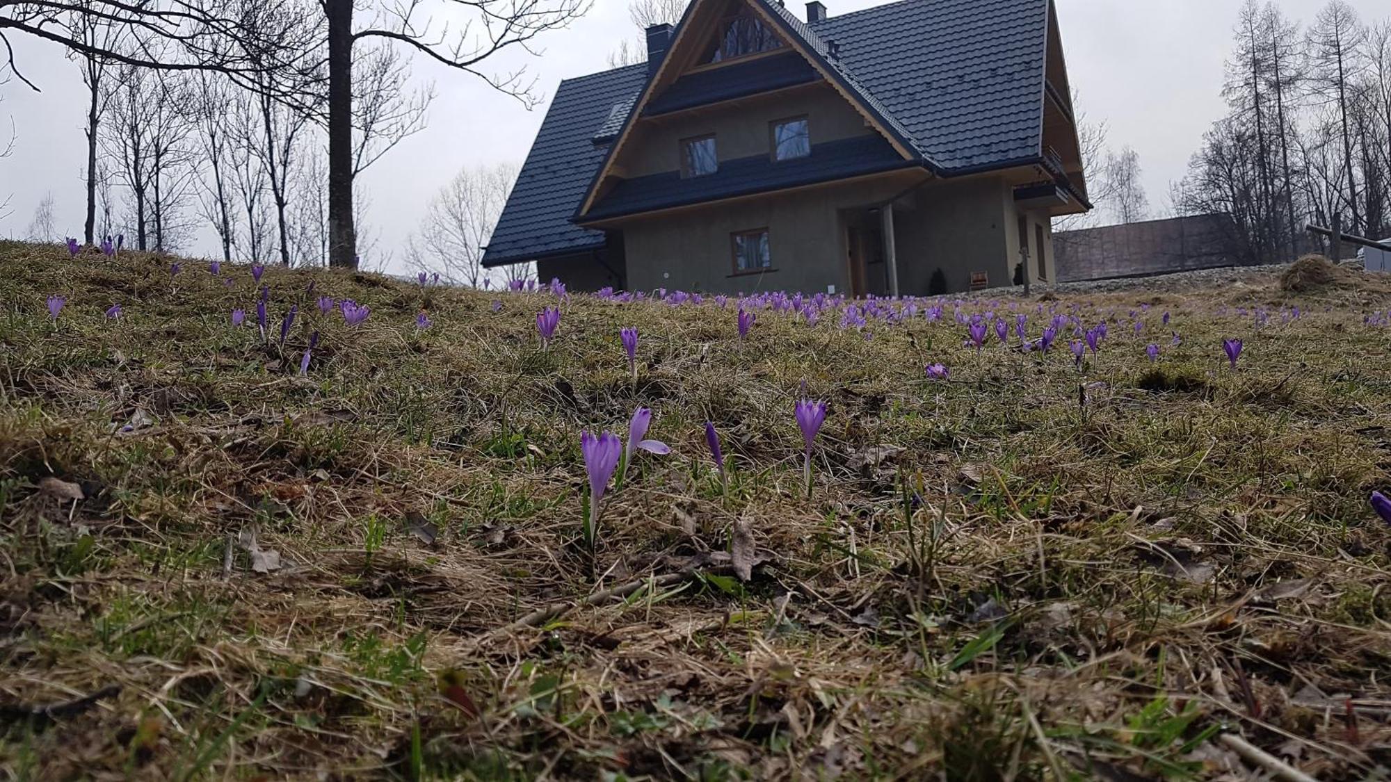 Dom Na Skraju Lasu Jurgów Exterior foto